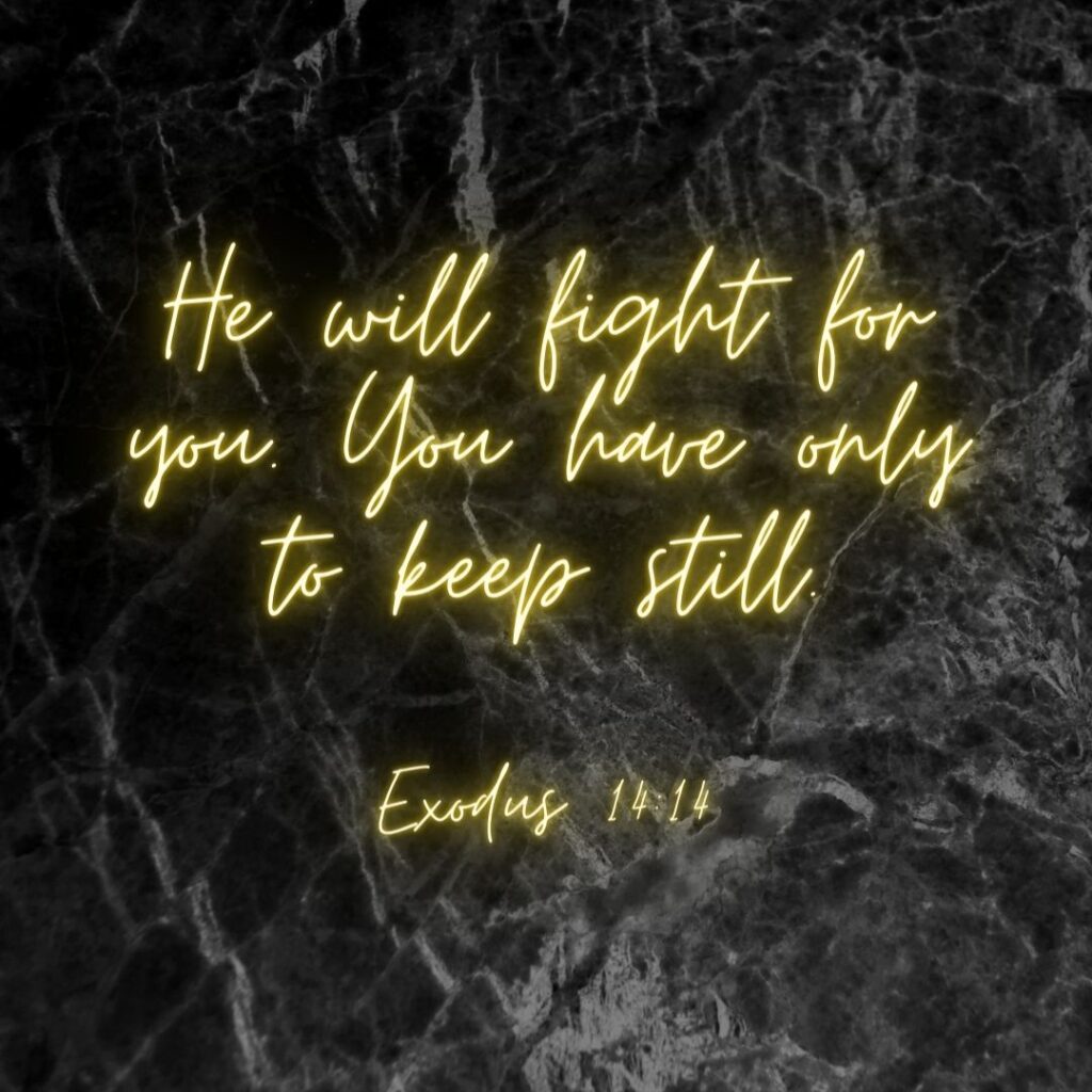 He will fight for you. You have only to keep still. Exodus 14:14